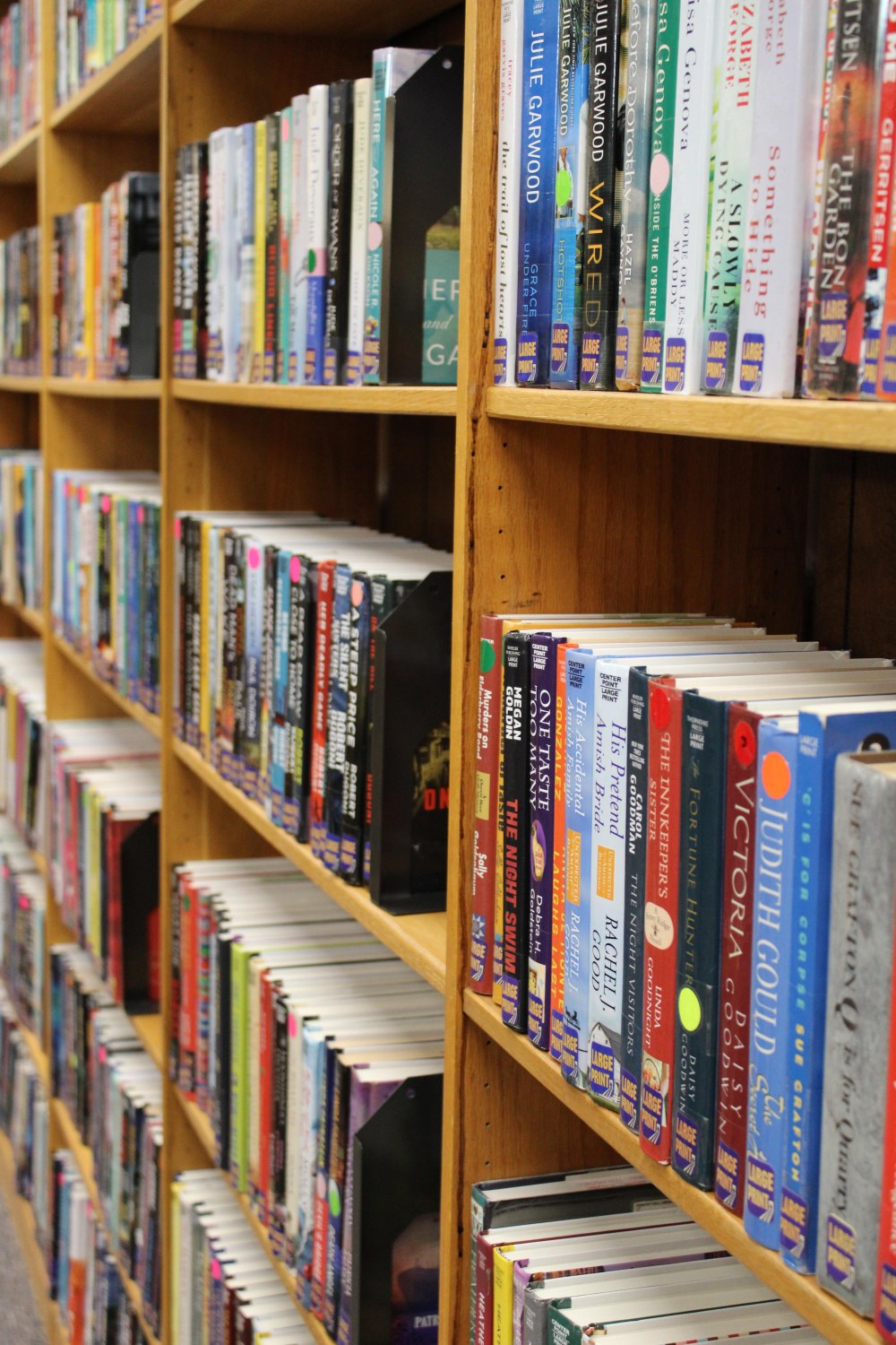 A close up image of books on our library shelves